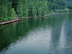 -重庆彩云湖湿地公园