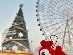 -南昌之星摩天轮