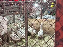 -鱼窝棚柴火铁锅炖(富山屯店)