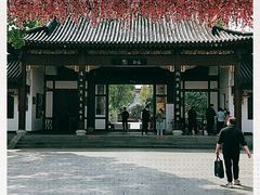 -南汇桃花村