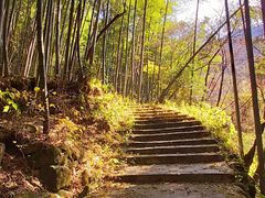 -大围山国家森林公园