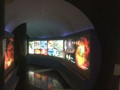 景点-上海昆虫博物馆