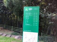 -菊花台公园