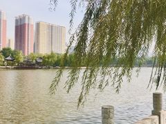 -迎泽公园