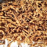 虫草花烧甲鱼汤滋补