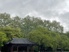 -西湖游船