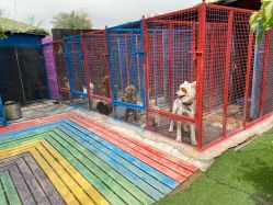 -萌宠亲子动物乐园(槐房万达店)