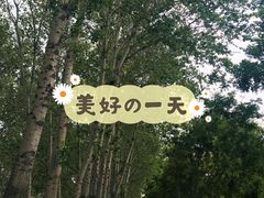 -东郊湿地公园
