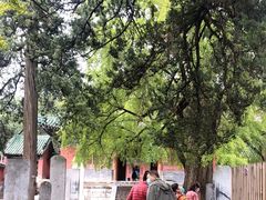 -少林寺欢喜地素斋馆