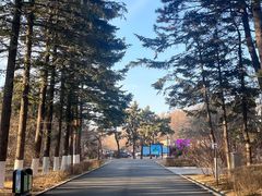 -长春市南湖公园