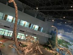 -自贡恐龙博物馆