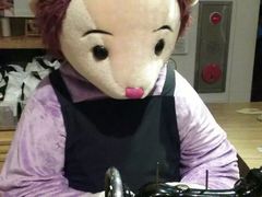 -济州岛泰迪熊博物馆