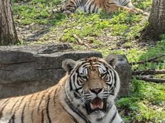 -哈尔滨北方森林动物园