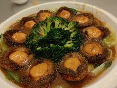 -深圳皇庭V酒店