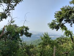 -紫金山山顶公园