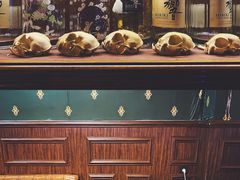 -The Cheebat 锌吧·Bistro(体育西店)