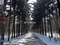 -长春市南湖公园