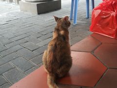 -八婆婆烧仙草(中山路店)