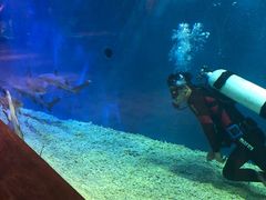 -华夏文旅海洋公园