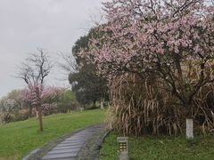 -苏州太湖国家湿地公园