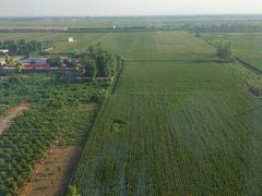 -兴芮温泉度假区