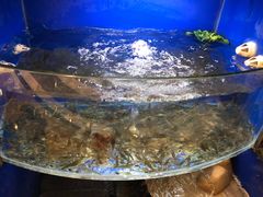 门面-朱桥甲鱼馆(淮海西路店)