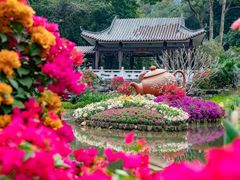 -广州市白云山风景名胜区