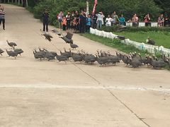 -哈尔滨北方森林动物园