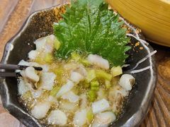 芥末章鱼-东京屋(武定路店)