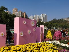 -龙环葡韵住宅式博物馆