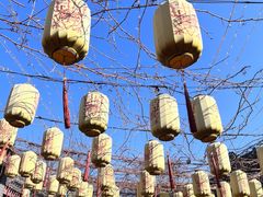 -中华郡文化旅游景区