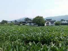 -环秀楼(黄山呈坎店)