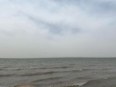 -红碱淖景区