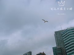 -海云台海滩