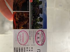 -乐山乌木文化博览苑