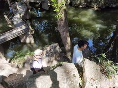 -绮园景区