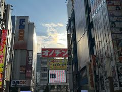 -秋叶原电器街