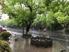 -杭州西湖风景名胜区-满觉陇四眼井