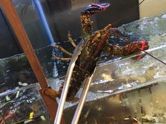 -斯比特花园西餐厅(东方商厦店)