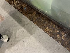 -渝乡辣婆婆·川菜 水煮鱼(安平店)