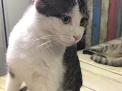 -小时光咖啡馆(开森度假森林店)