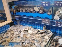 -乔哥铭洋海鲜自助(皇城恒隆广场店)