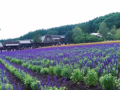 -富田农场