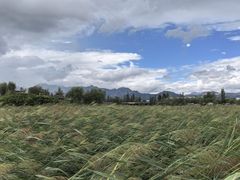 -敕勒川草原文化旅游区