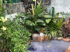 -慢丽江·云南野生菌土鸡锅(付家庄店)