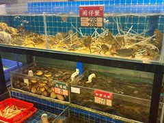 -飞尝蚝·顺德菜·鱼生(顺德总店)