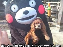 -海底捞火锅(九久奥特莱斯店)