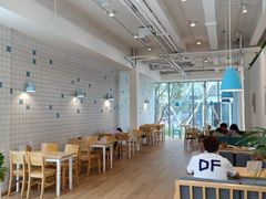-猫的天空之城概念书店(北戴河蔚蓝海岸店)