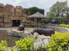-沈阳森林动物园