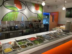 -油梨树 AVOCADO TREE(亮马桥店)